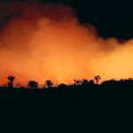 El humo anaranjado ilumina la noche de la Amazonia. Este año se han contabilizado más de 70.000 fuegos en la zona