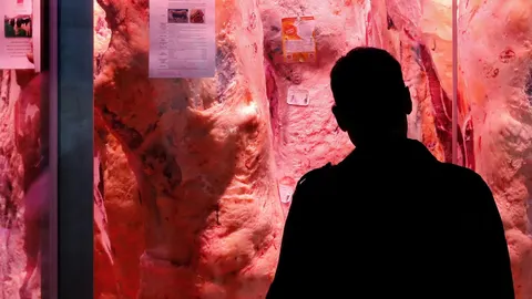 El consumo de carne es perjudicial para el planeta/ Foto: EFE