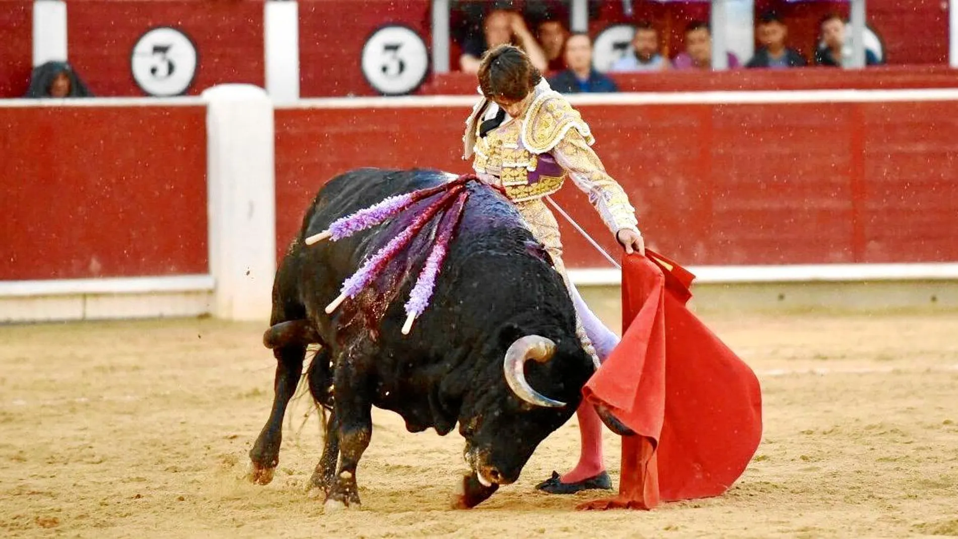 Sebastián Castella abandona a hombros la Plaza de Toros de Albacete / Foto: Alcolea