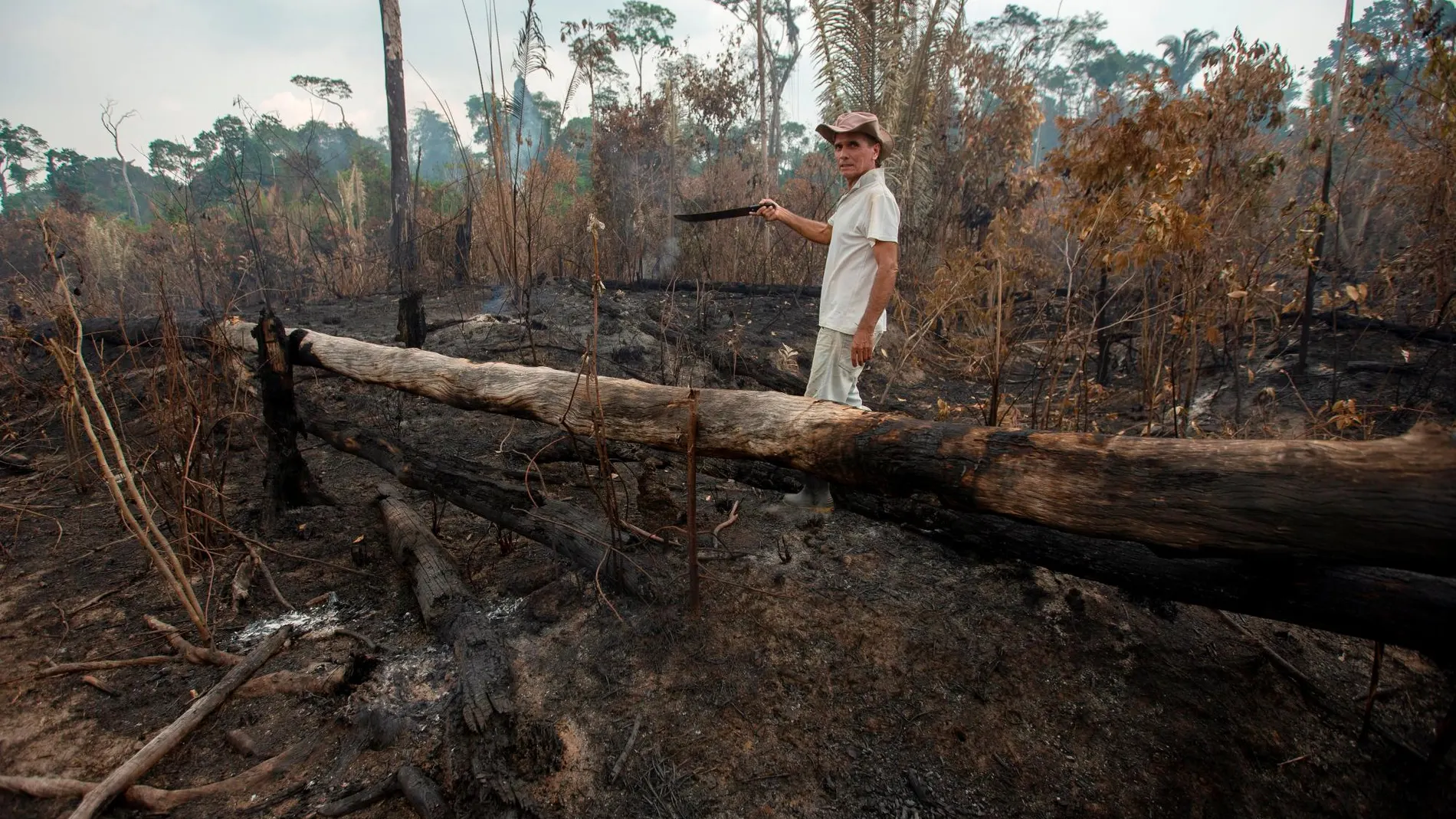 Un ganadero en un territorio de la selva en el estado de Rondonia, en Brasil/Efe