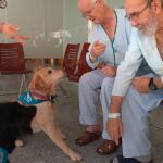 Dos pacientes del hospital Severo Ochoa junto a los perros de compañía.