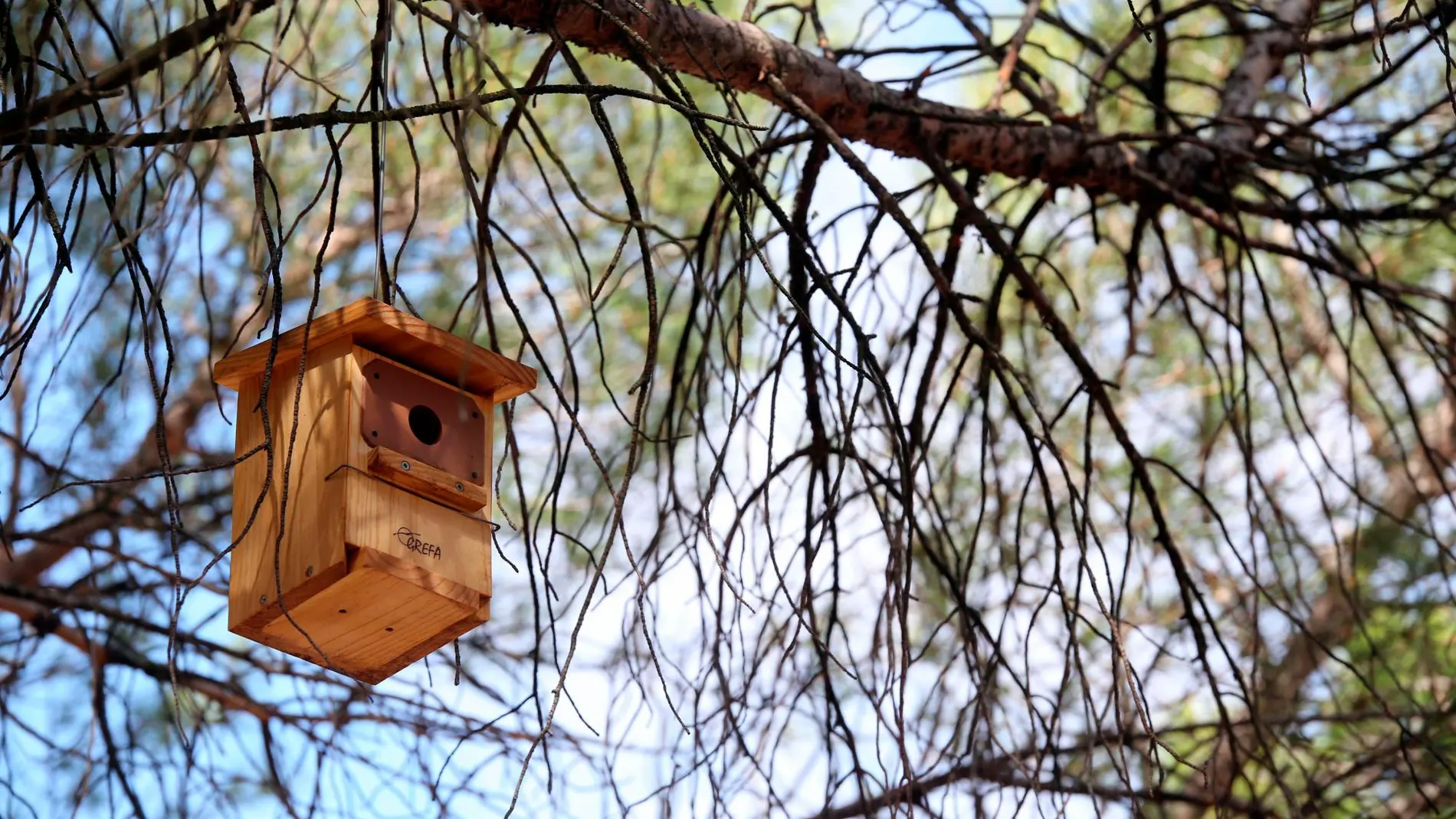 Cajas nido