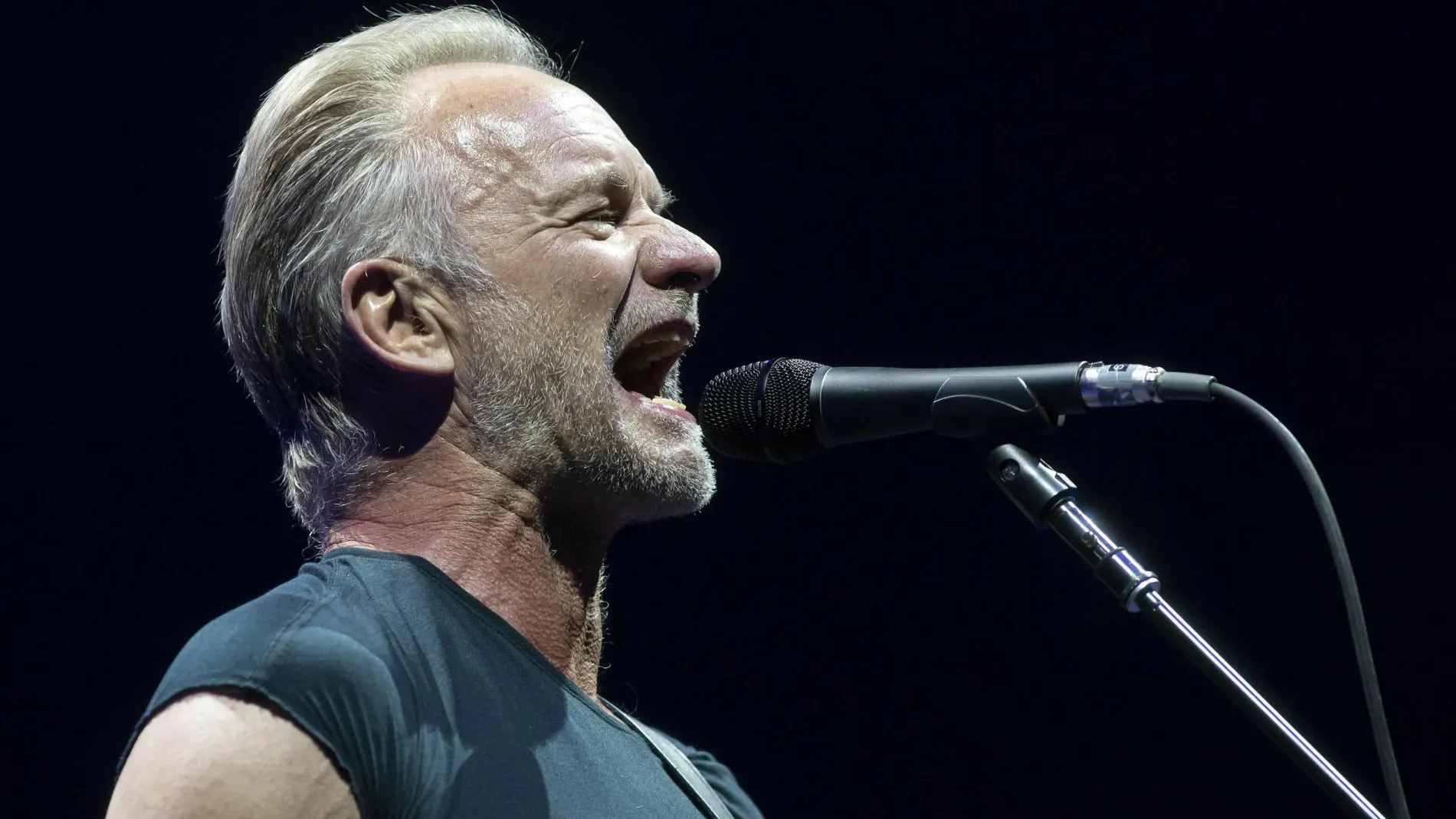 Sting, durante un concierto en Budapest (Hungría)
