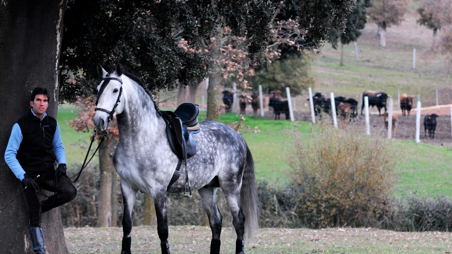 Sergio Galán con uno de los caballos de su cuadra (Foto: Natalia Rivas)