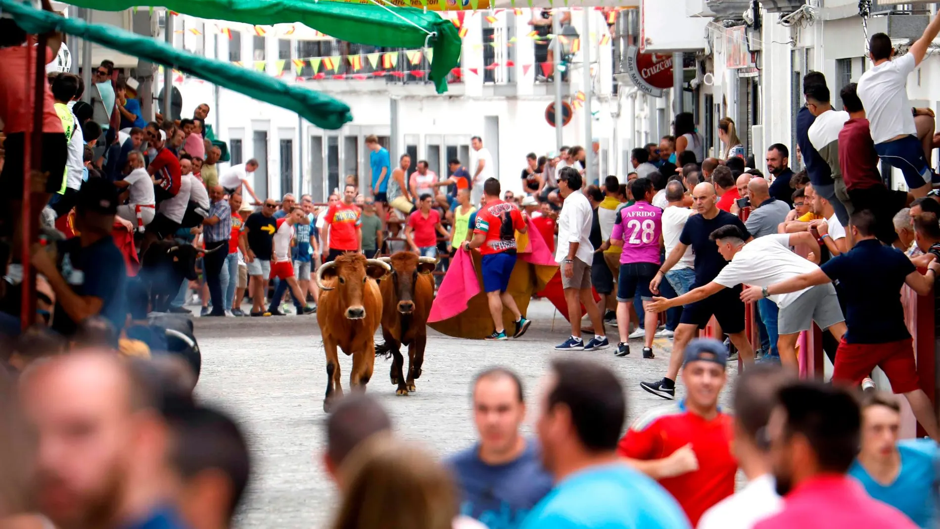 Los "bous al carrer" se celebran sobre todo durante los meses de verano