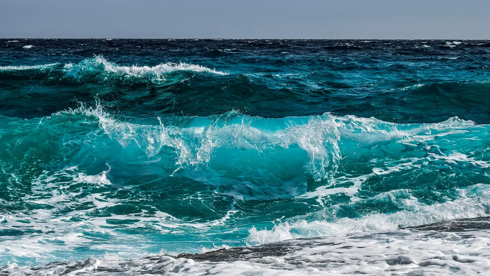 Ocho medidas urgentes para restablecer la salud del océano