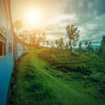 Sri Lanka se ha convertido en uno de los primeros países productores y exportadores de té del mundo