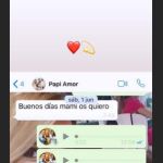 El último whatsapp que mandó Reyes antes de su accidente