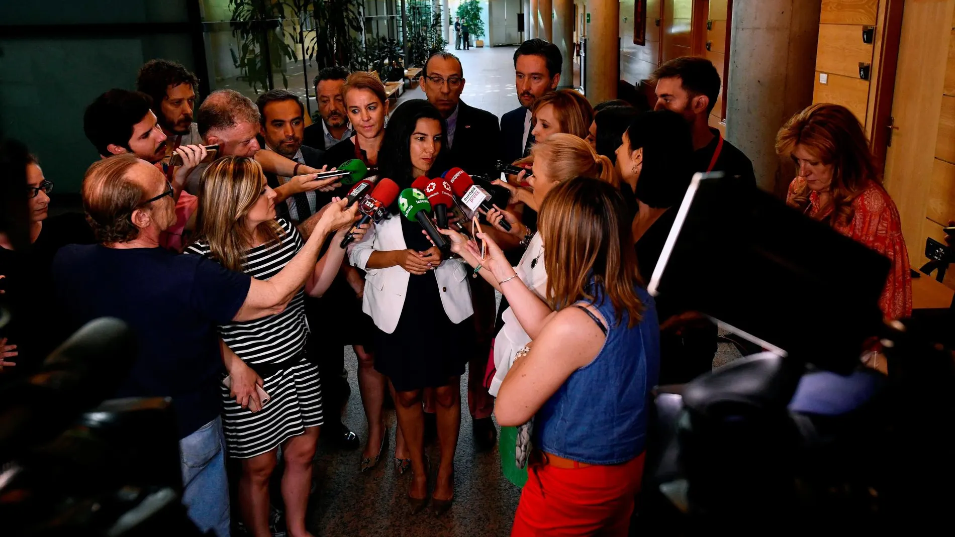 La presidenta de Vox en la Comunidad de Madrid Rocío Monasterio, realiza declaraciones a los medios de comunicación este mediodía en la Asamblea de Madrid