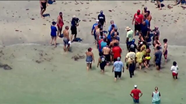 Bañistas en una playa de Florida ayudan a una ballena varada