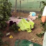 Cae una peligrosa red de narcotráfico en Cádiz, con la detención de 45 personas