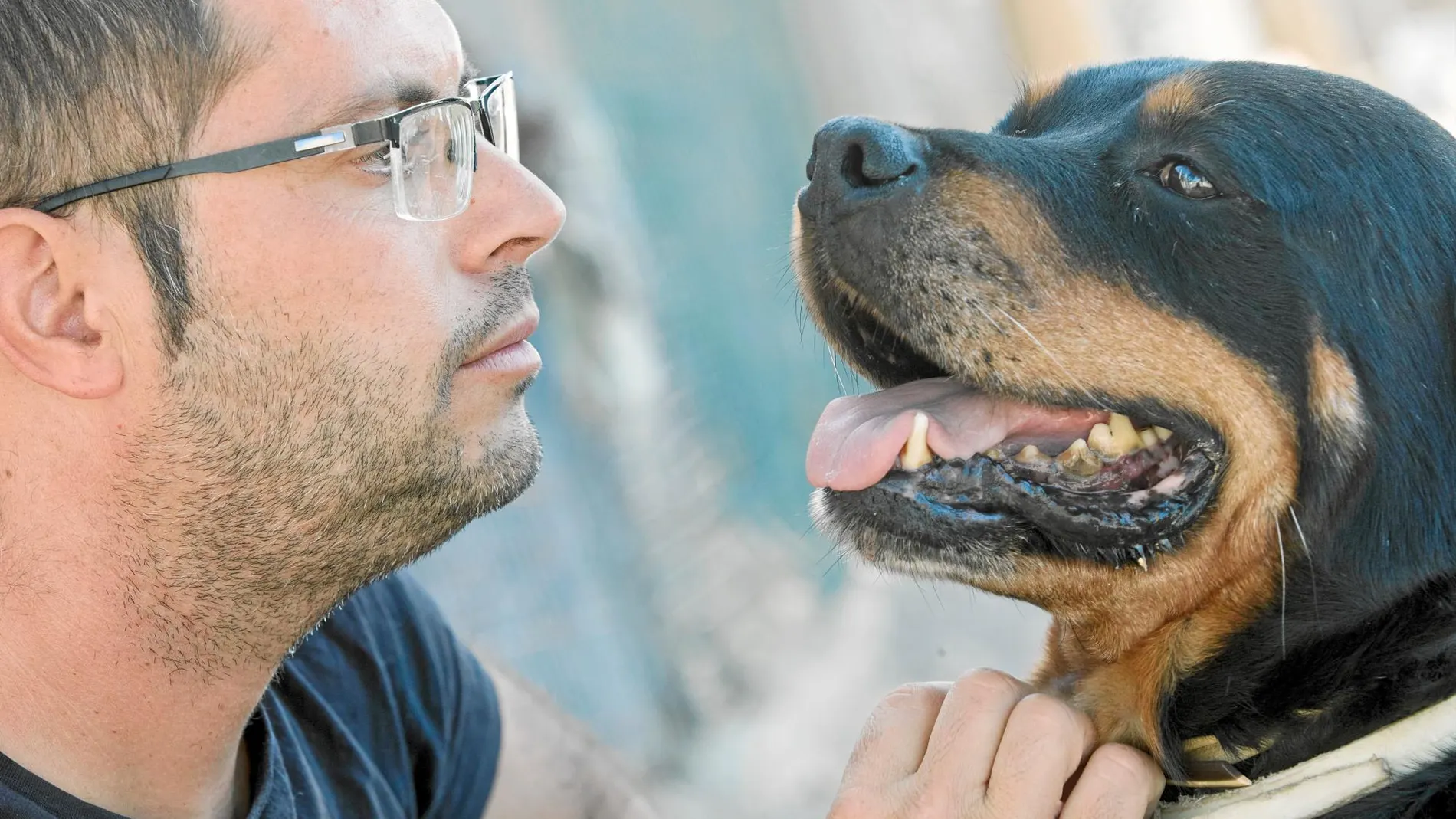 Ángel Félez trabaja con perros con conductas violentas en Dog Horse City. Foto: Luis Díaz