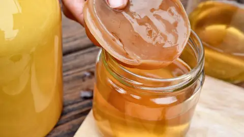 La kombutcha contiene varias especies de bacterias de ácido láctico que pueden tener función probiótica, según algunos estudios.