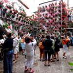Los patios de Córdoba son uno de los destinos más populares entre los turistas