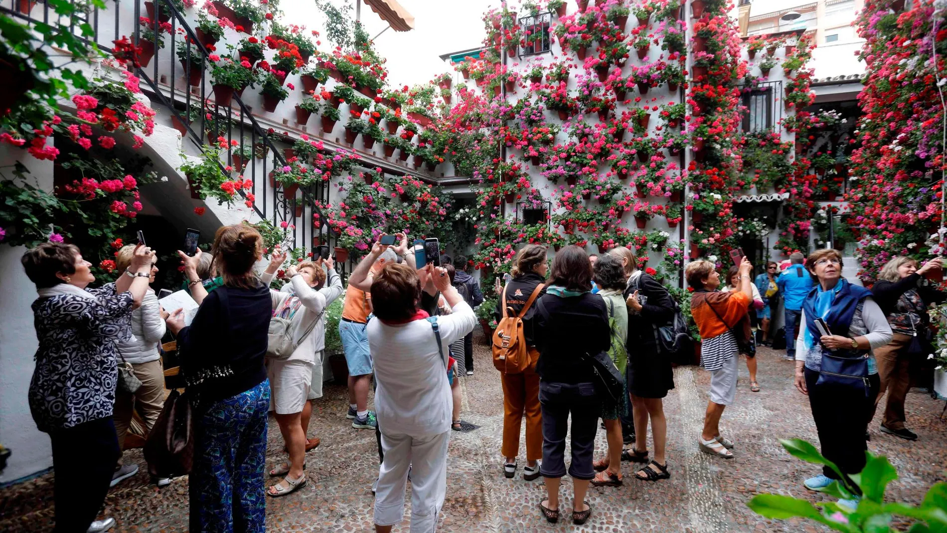 Los patios de Córdoba son uno de los destinos más populares entre los turistas