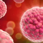 La nanopartícula puede ser desarrollada como un nuevo fármaco de los pacientes del linfoma de Hodgkin