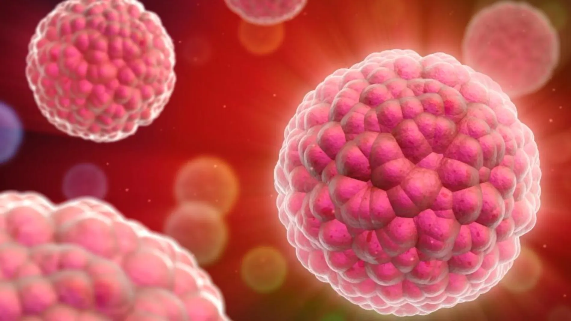 La nanopartícula puede ser desarrollada como un nuevo fármaco de los pacientes del linfoma de Hodgkin