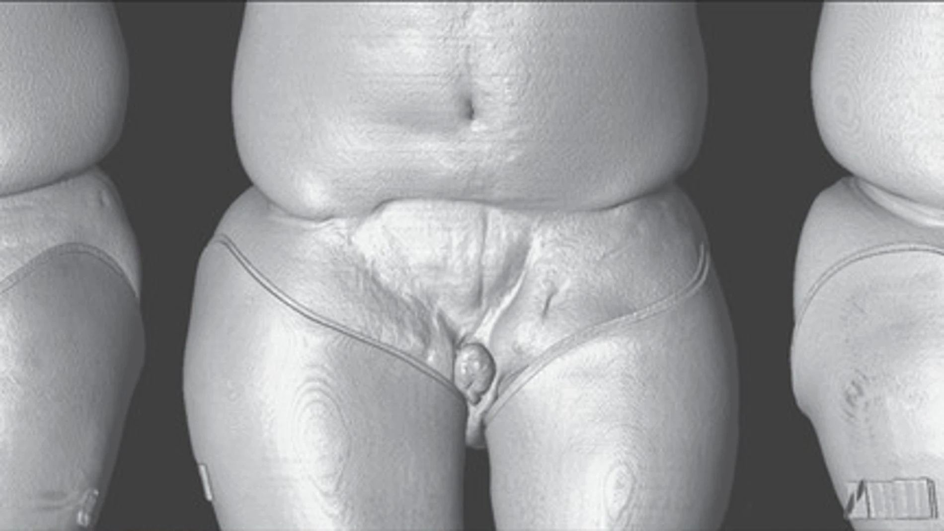 Imagen recreada por ordenador del cuerpo de Ray