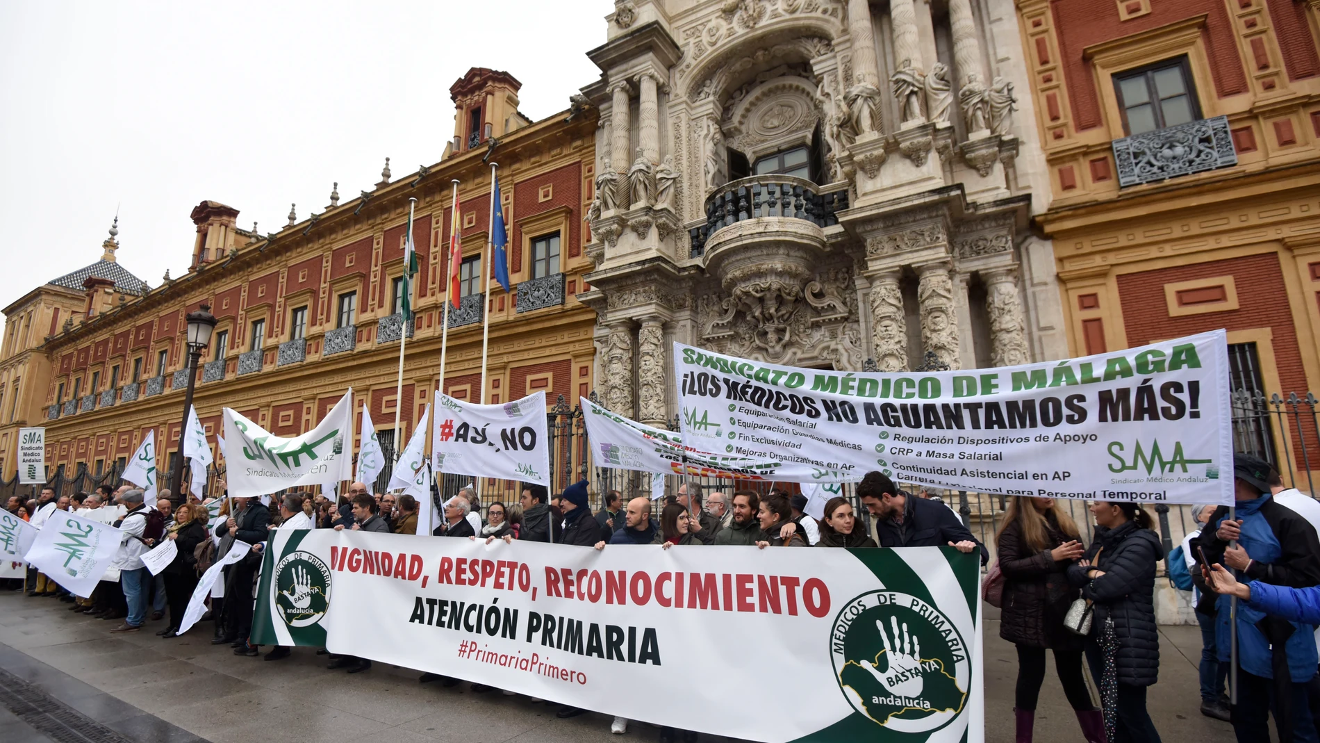 Unos 300 facultativos se concentraron frente al Palacio de San Telmo