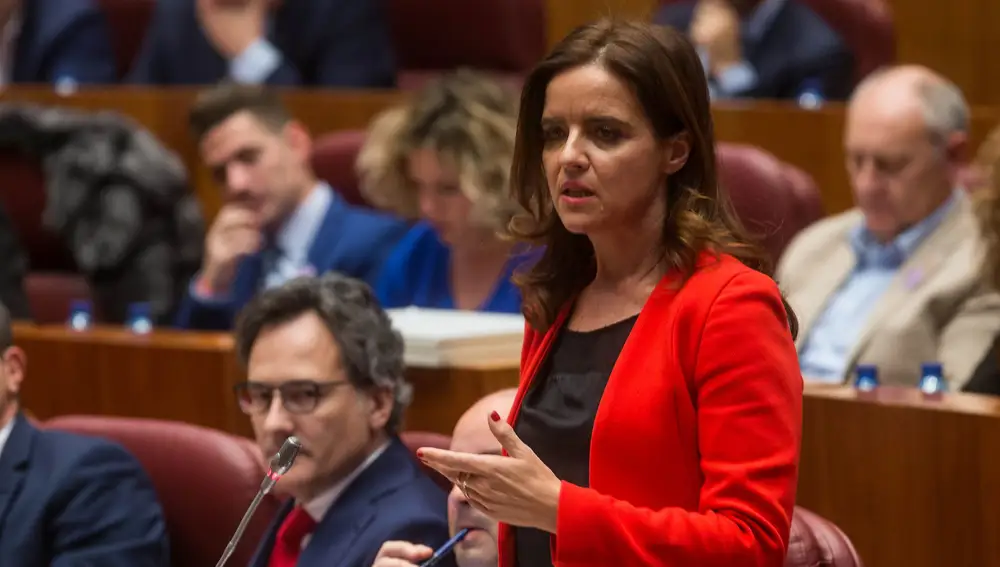 La portavoz de Ciudadanos, Ana Carlota Amigo, interviene en el Pleno