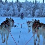 El 43% de los consultados opinan que el pueblo de Papá Noel en Laponia es el que más representa el sentimiento navideño