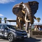 Honda Centerauto y BIOPARC, un binomio de éxito