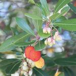 La primera Reserva de la Biosfera española