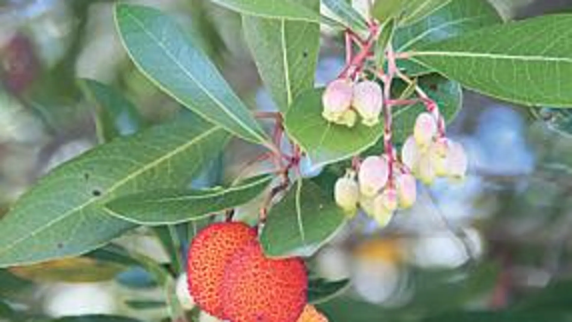 La primera Reserva de la Biosfera española