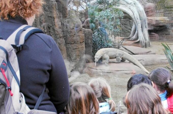 El zoo de Barcelona se digitaliza