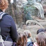 El zoo de Barcelona se digitaliza