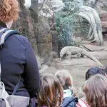  El zoo de Barcelona se digitaliza