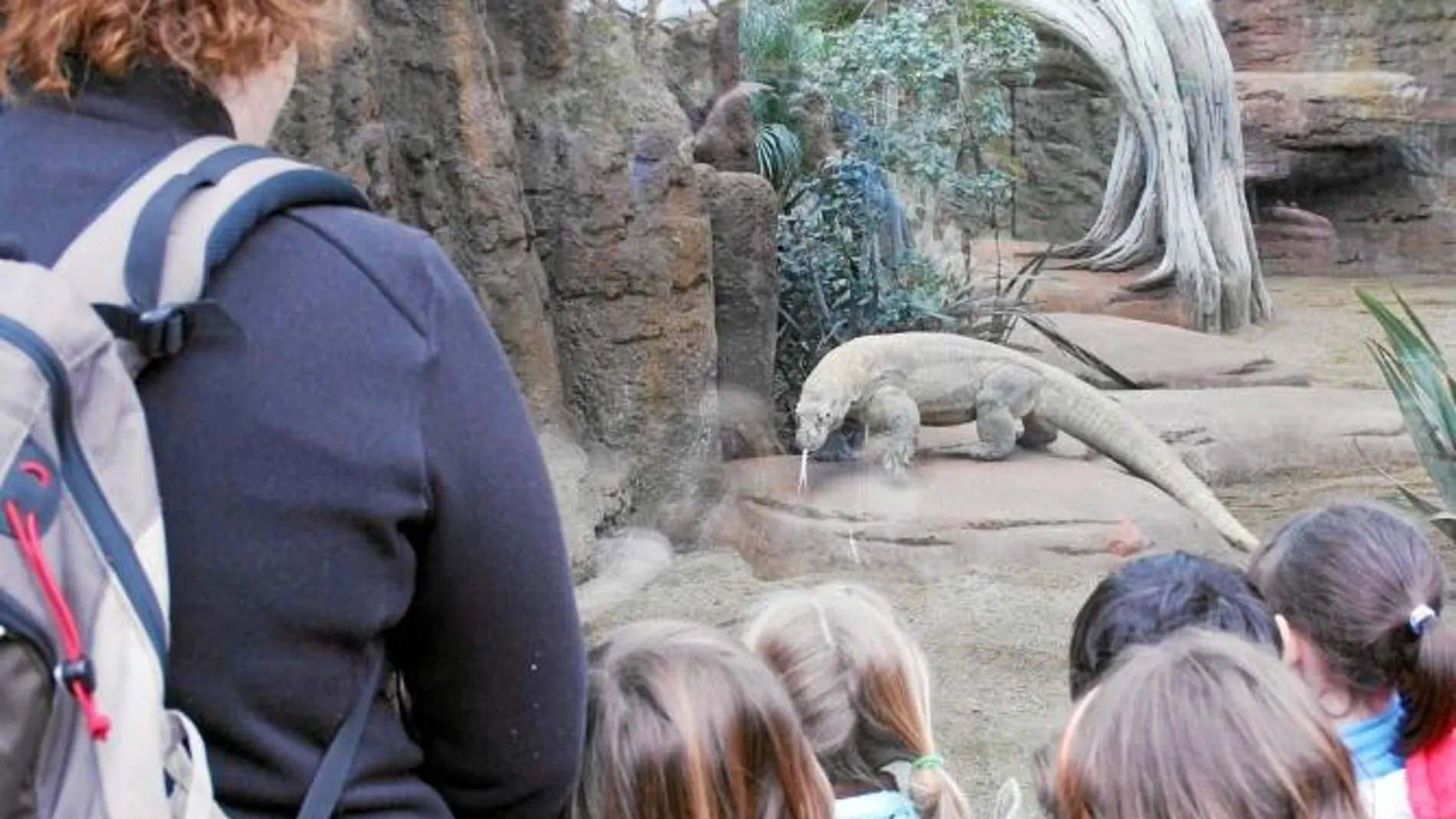 El zoo de Barcelona se digitaliza