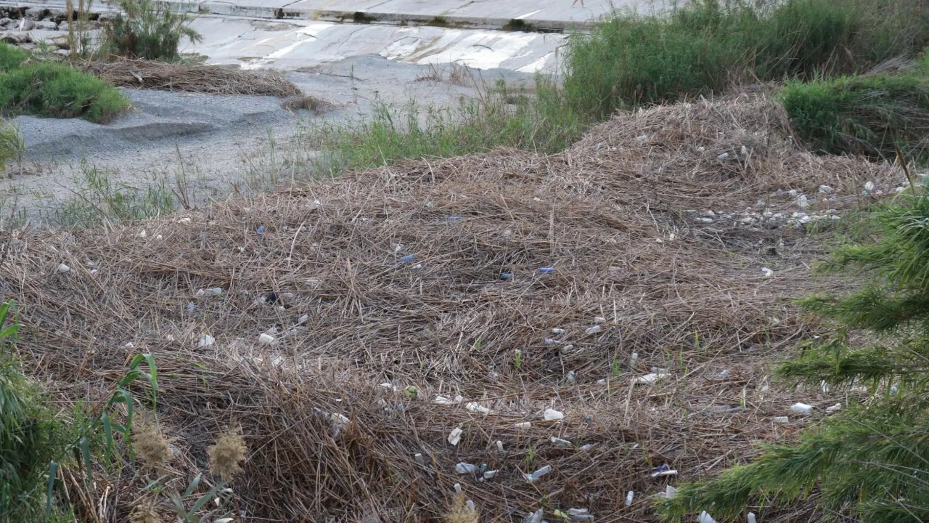 Los plásticos se acumulan en el cauce del río Segura