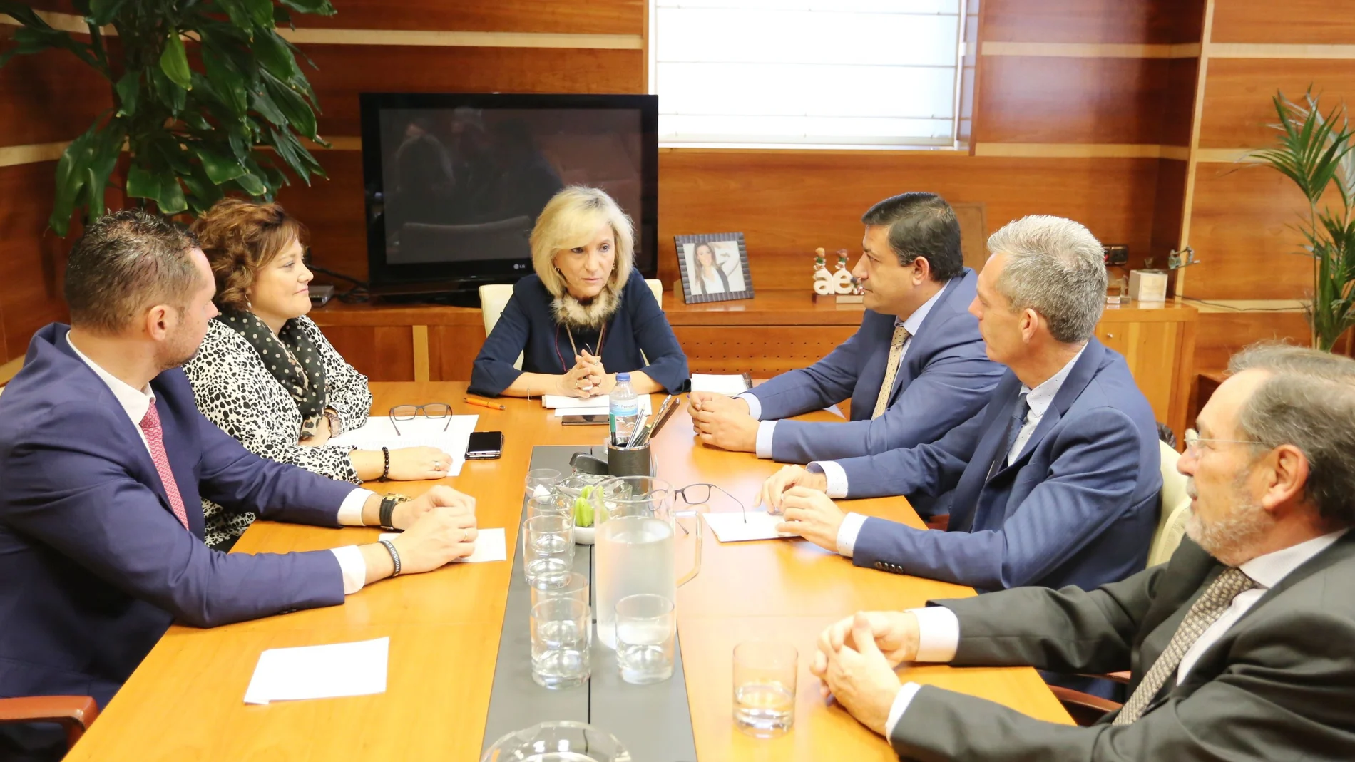 La consejera de Sanidad, Verónica Casado, se reúne con la AEEC, la Diputación y el Ayuntamiento de Ávila sobre al futuro de la unidad satélite de radioterapia