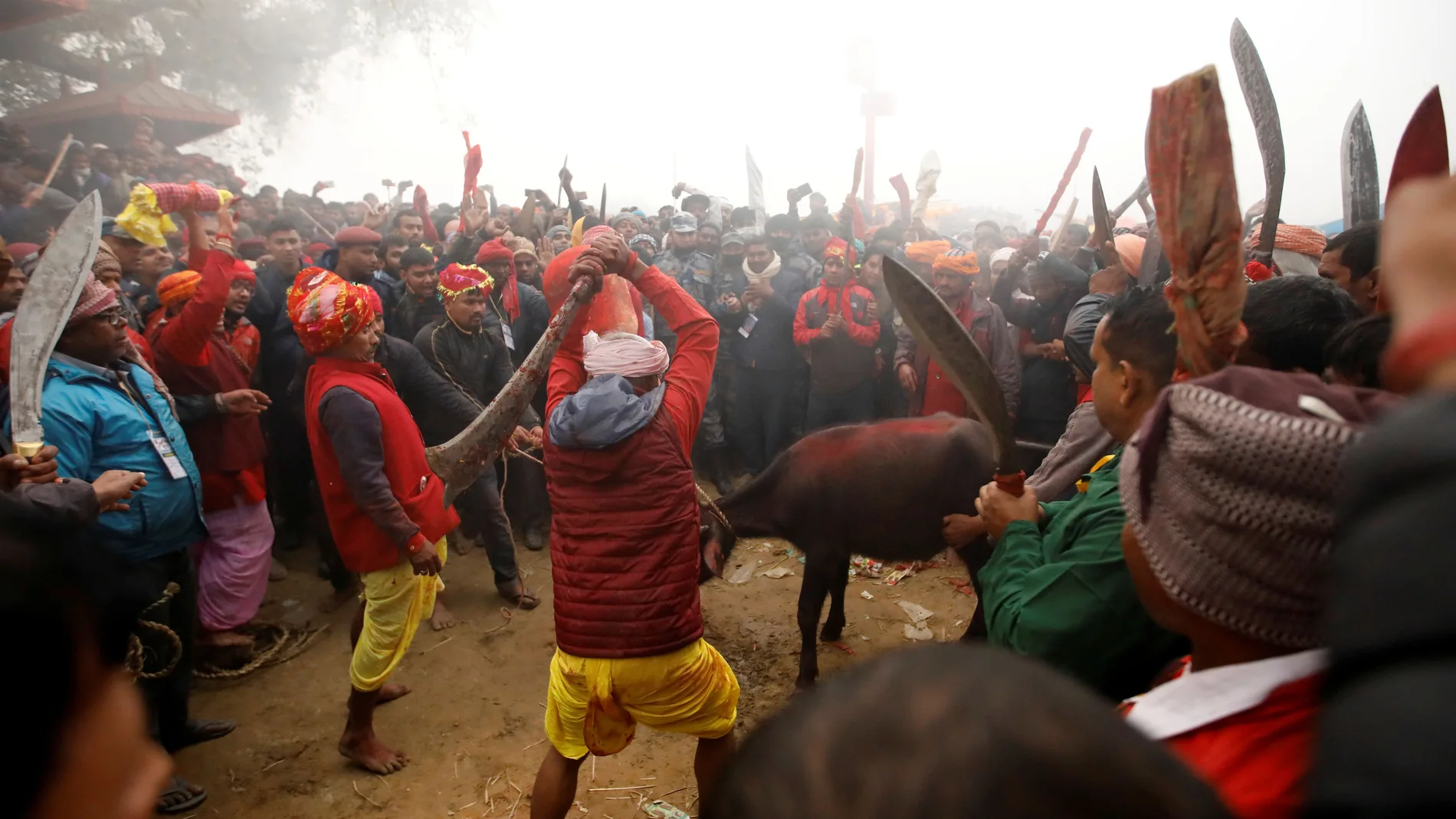 Carniceros durante la celebración del sacrificio en el "Gadhimai Mela".