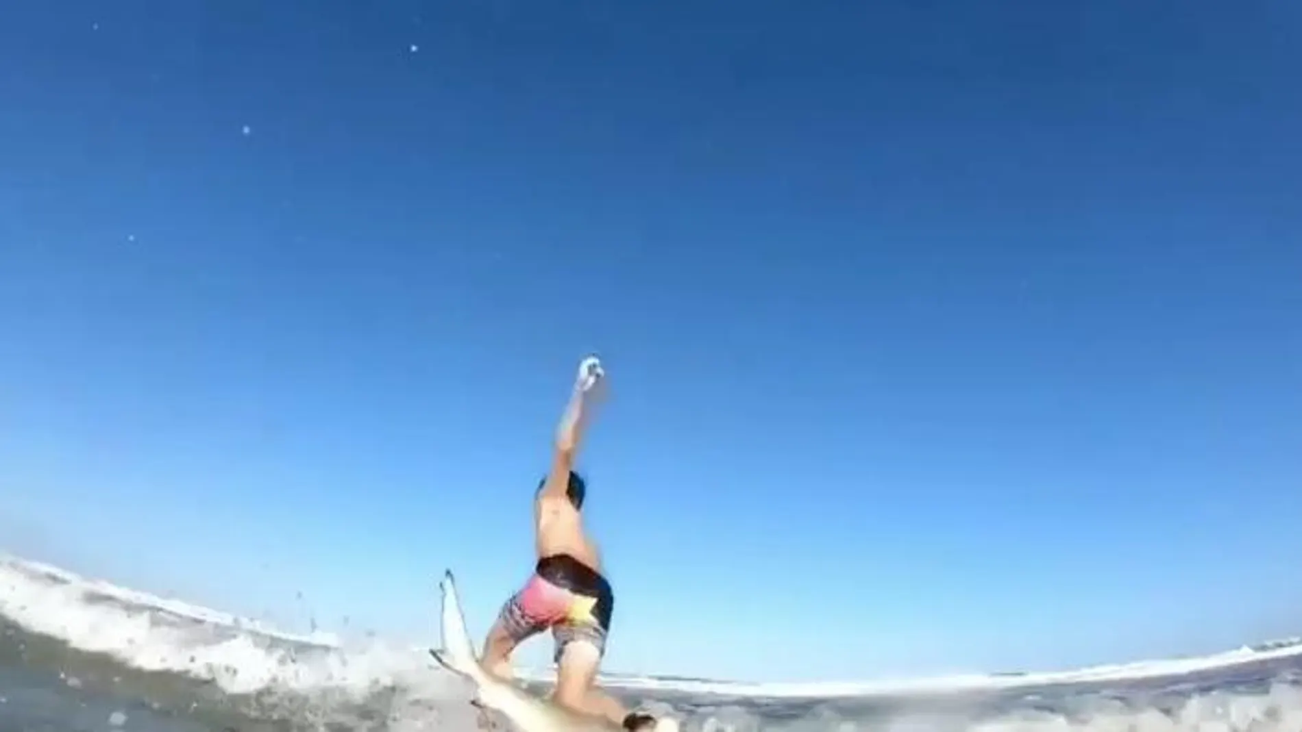 Un niño surfea en una playa de Florida y choca contra un tiburón