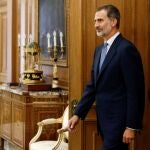 El Rey Felipe VI en el Palacio de la Zarzuela