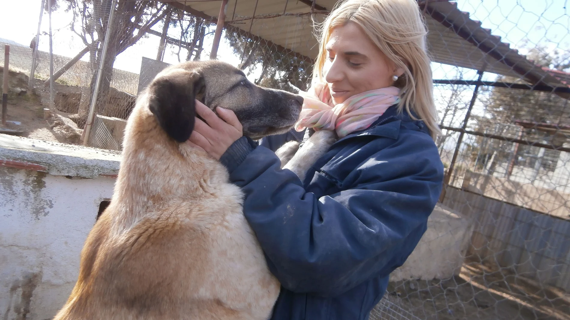 Una de las voluntarias de «Huellas» coge a uno de los perros tienen a su cuidado en la protectora