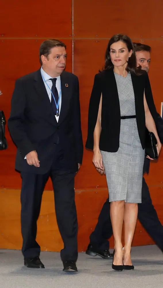 GRAF7300. MADRID, 11/12/2019.- La reina Letizia y el ministro de Agricultura en funciones, Luis Planas, este miércoles durante la Cumbre del Clima . EFE/Juan Carlos Hidalgo