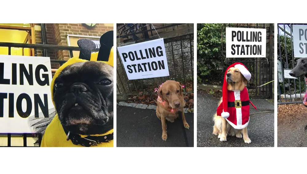 Muchos británicos acudieron a votar acompañados de sus mascotas.