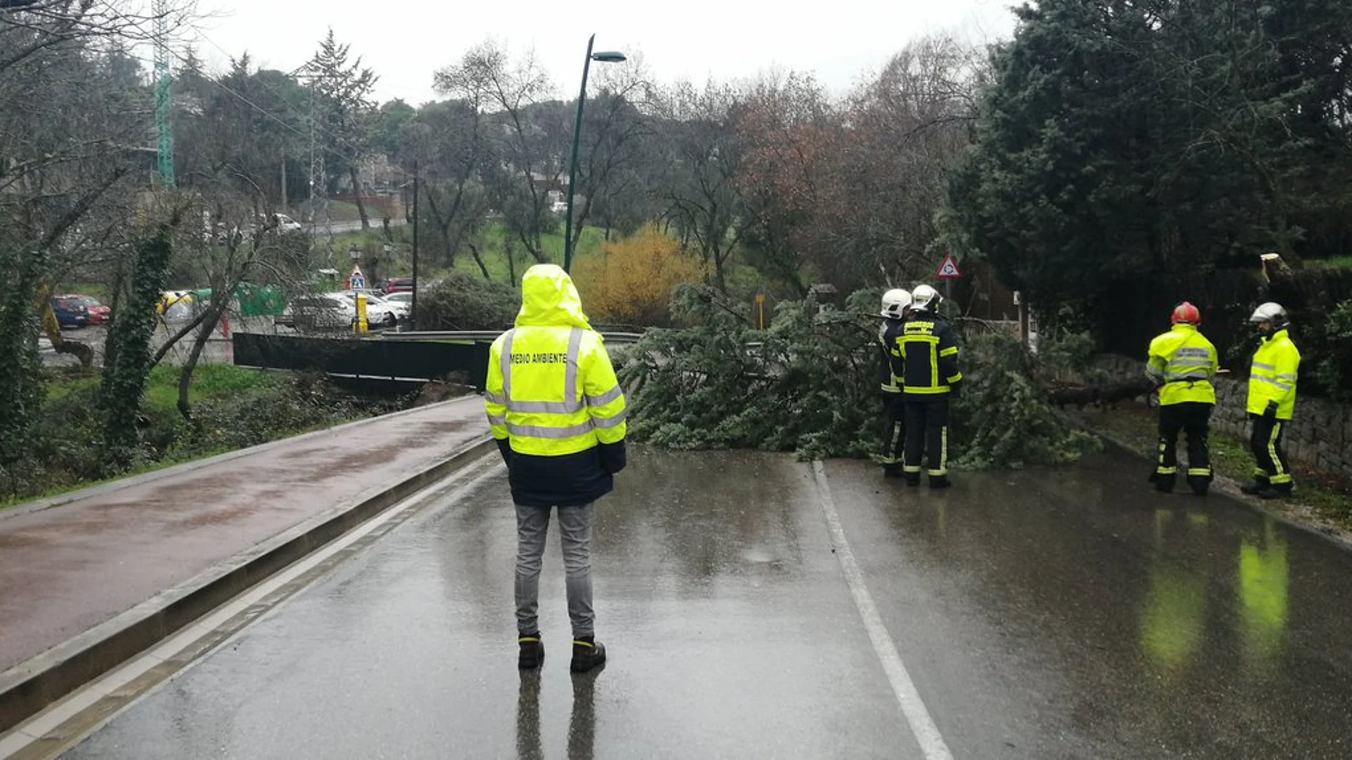 Bomberos realizan 196 intervenciones por el viento y la lluvia en la capital y la región