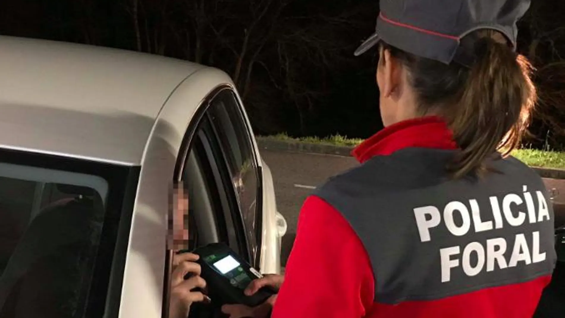 Policia Foral Navarra