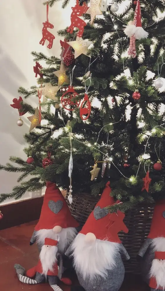 Stories de @saracarbonero