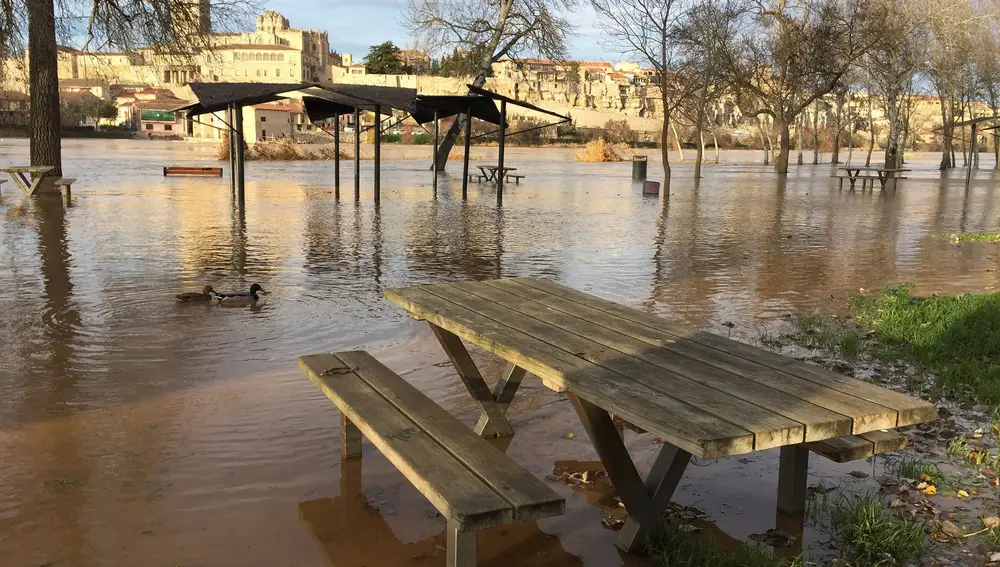 GRAF4000. ZAMORA, 23/12/2019.- La crecida del río Duero ha anegado terrenos de cultivo y ha cortado caminos y el acceso a algunas naves en el término municipal de Toro (Zamora), donde el caudal ha llegado al nivel de alarma, mientras que en la capital zamorana ha inundado paseos ribereños y zonas recreativas. EFE/ Mariam A. Montesinos