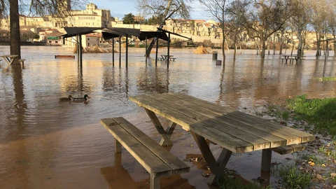 GRAF4000. ZAMORA, 23/12/2019.- La crecida del río Duero ha anegado terrenos de cultivo y ha cortado caminos y el acceso a algunas naves en el término municipal de Toro (Zamora), donde el caudal ha llegado al nivel de alarma, mientras que en la capital zamorana ha inundado paseos ribereños y zonas recreativas. EFE/ Mariam A. Montesinos