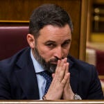 El líder de Vox, Santiago Abascal en el una imagen de archivo, en el Congreso/ © Alberto R. Roldan