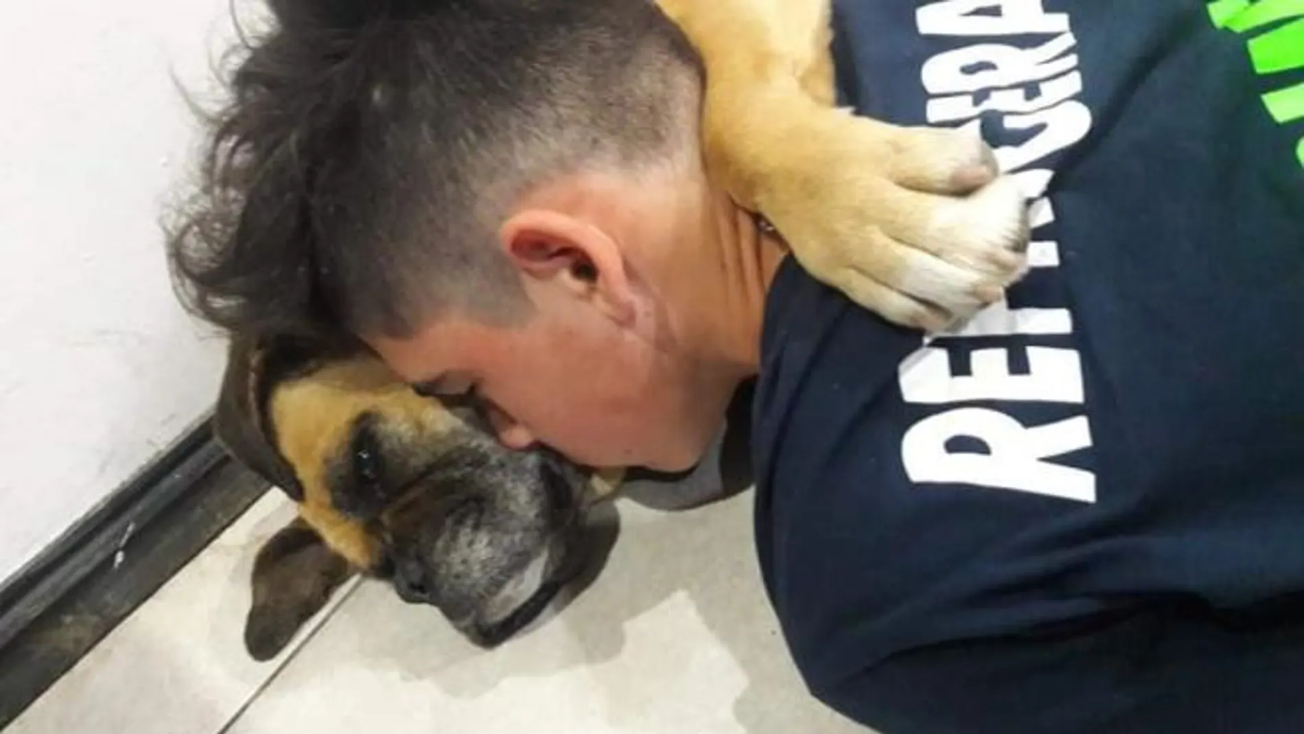 Imagen de la perra que murió en Argentina en brazos de su dueño por el miedo a los fuegos artificiales
