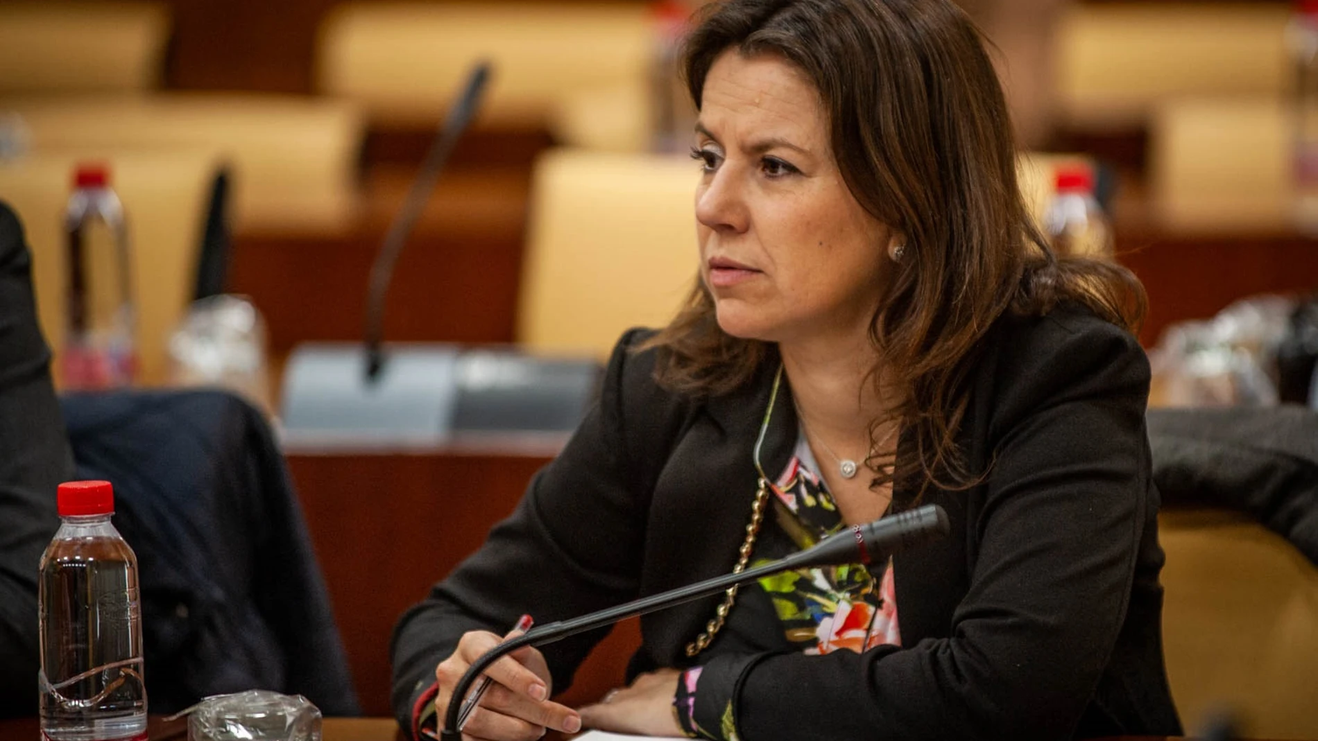 PP-A solicitará de nuevo la comparecencia en la comisión de la Faffe de Díaz, Montero y otros tres exconsejeros
