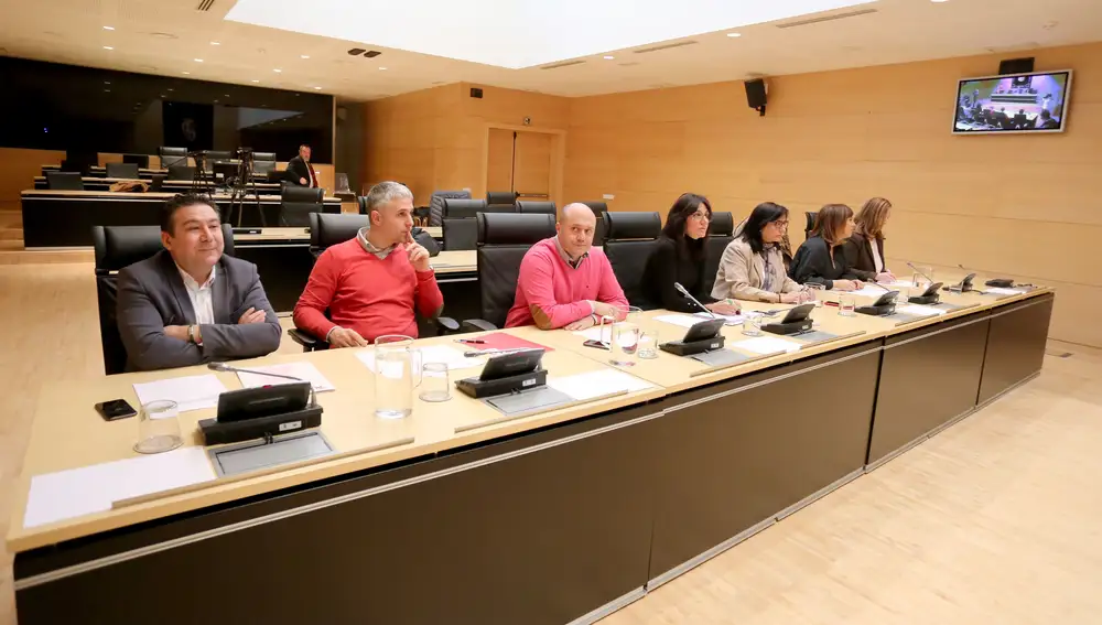 Comisión de investigación sobre el análisis de las ayudas recibidas por Castilla y León en el marco de los planes estratégicos del carbón formalizados dentro de la línea de ayudas a la reactivación de las comarcas mineras, en concreto sobre el destino de estos fondos