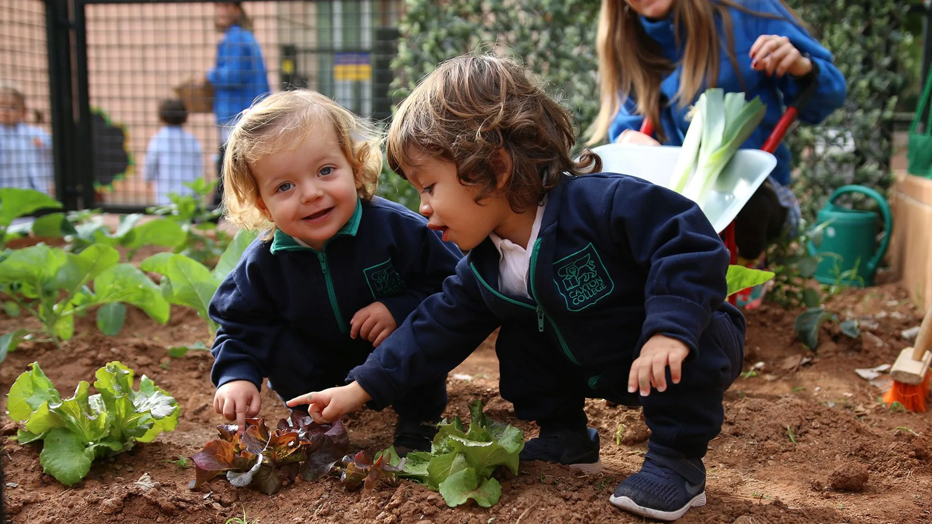 Alumnos del Baby Caxton cuidan del huerto ecológico